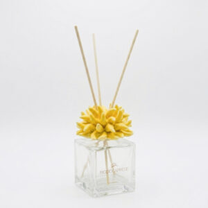 Anemone YELLOW 100㎖