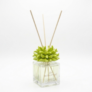 Anemone LIGHTGREEN 100㎖